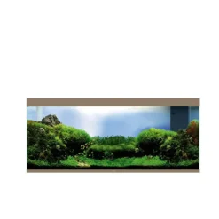 CIANO Aquarium équipé Emotions Pro Mystic - 300 L