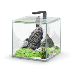 AQUATLANTIS Aquarium équipé Kubus - 33L