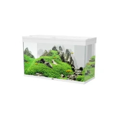CIANO Aquarium équipé Émotions Pro 100 blanc - 201 L