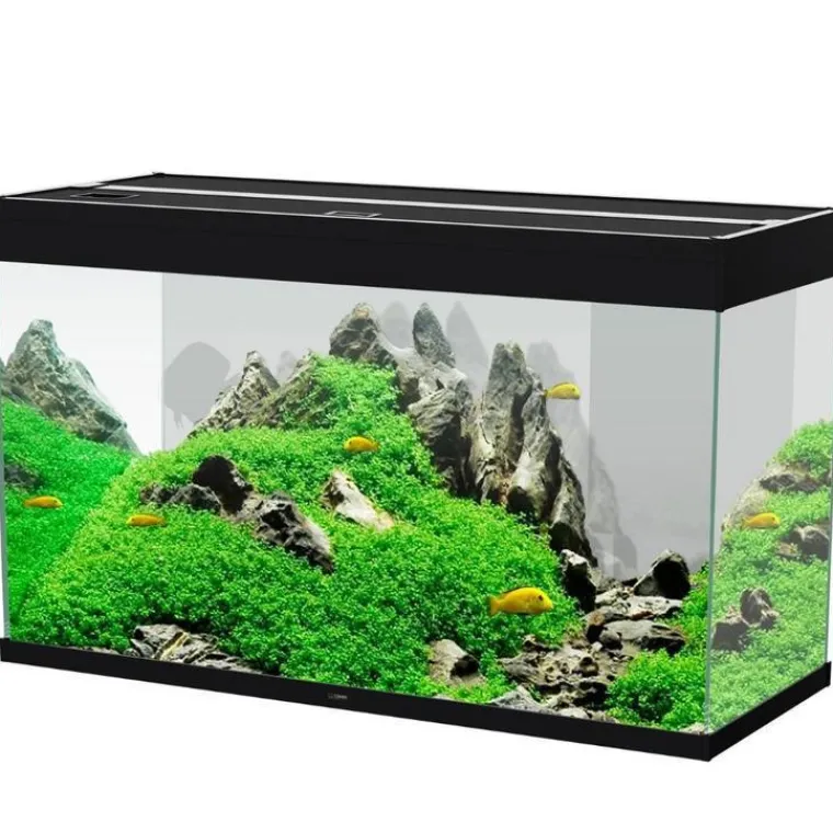 CIANO Aquarium équipé Émotions Pro 100 noir - 201 L
