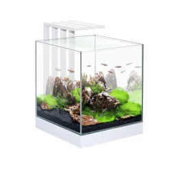 CIANO Aquarium équipé Nexus 25 LED blanc - 22L