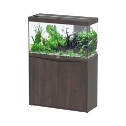 AQUATLANTIS Aquarium équipé Splendid chêne foncé - 202L