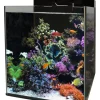 BLUE MARINE Aquarium reef 90
