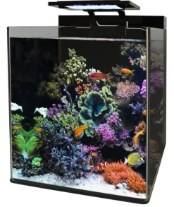 BLUE MARINE Aquarium reef 90