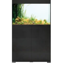 BLUE CORAL Aquarium tout équipé - Noir, OASE StyleLine 175 - 160L
