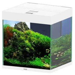 BLUE CORAL Aquarium tout équipé blanc, matière durable - CIANO Emotions Pro 40 - 52L