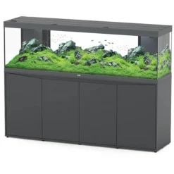 BLUE CORAL Aquarium tout équipé gris anthracite mat AQUATLANTIS AQUARIUM Splendid 200 - 604L