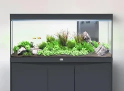 BLUE CORAL Aquarium tout équipé, Gris anthracite mat - AQUATLANTIS Volga 200 - 242L