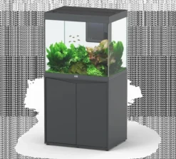 BLUE CORAL Aquarium tout équipé, Gris anthracite mat - AQUATLANTIS Volga 200 - 242L