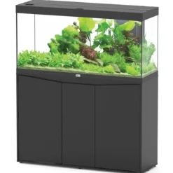 BLUE CORAL Aquarium tout équipé, noir, AQUATLANTIS AQUARIUM Splendid 120 - 293L