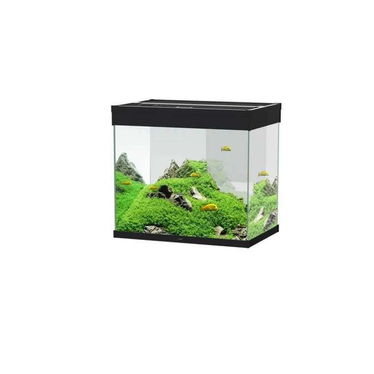 CIANO Aquarium tout équipé noir, 108L, Emotions Pro 60 - compact et élégant