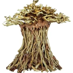 AQUADISTRIB Arbre bonsaï mushroom, taille S - marque SUPERFISH - décoration d'aquarium