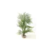 LABEO Asparagus vert en plastique 33 cm