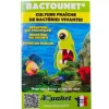 BLUE CORAL Bactéries vivantes pour aquarium Aquanet Bactounet