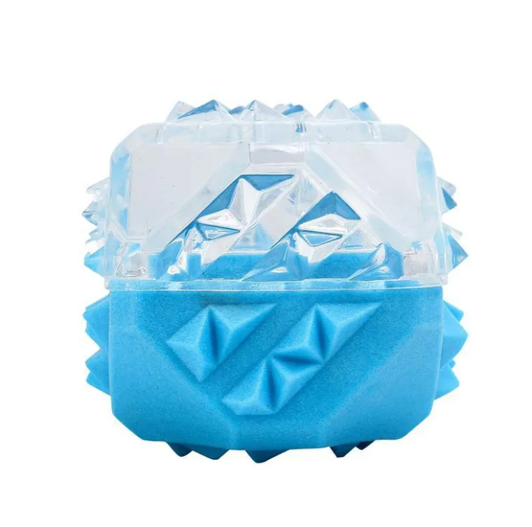 WOUAPY Balle rafraîchissante bleue pour chien Fresh