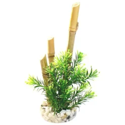 SYDECO Bambou plantes