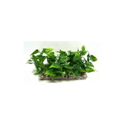 LABEO Barre de gazon vert en plastique 13 x 5 x 7 cm