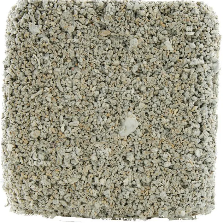 GASCO Bloc sel nature 900 g