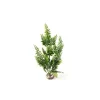 LABEO Bolbitus vert en plastique 33 cm