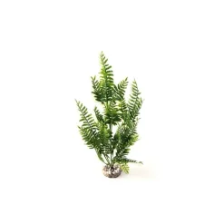 LABEO Bolbitus vert en plastique 33 cm