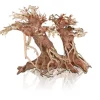 AQUAVIE Bonzaï double pour aquascaping coloris marron - 23 x 12 x 18 cm