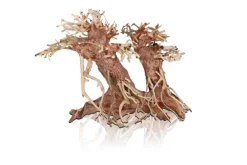 AQUAVIE Bonzaï double pour aquascaping coloris marron - 23 x 12 x 18 cm