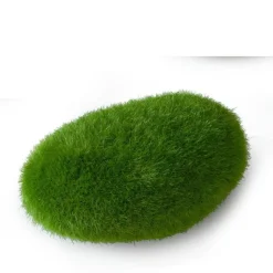 EUROPET Boule de mousse de taille moyenne 10x6,5x5 cm