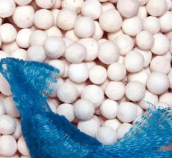 BLUE CORAL Boules biofiltration intensive blanches, JBL Micromec - 700g