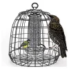 NATURES MARKET Cage de protection anti-étourneaux noire en métal Ø 27,5 x 25 cm