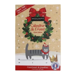 WOUAPY Calendrier de l’avent pour chats