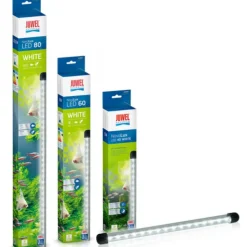 BLUE CORAL Éclairage aquarium LED blanc 60 - JUWEL Novolux - 60 cm