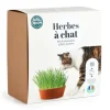 RADIS ET CAPUCINE Coffret herbe à chat