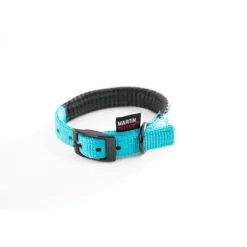 MARTIN SELLIER Collier droit Confort pour chien coloris turquoise - 2x45 cm