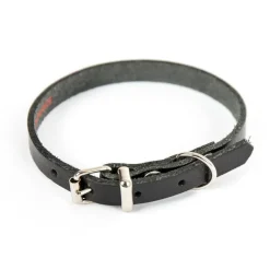 MARTIN SELLIER Collier en cuir noir pour chien 1,4x36 cm