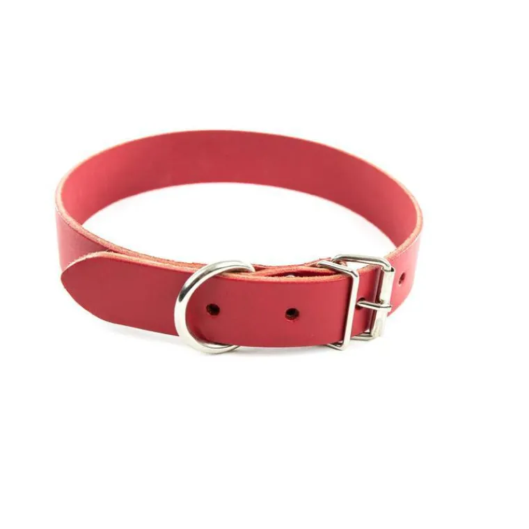 MARTIN SELLIER Collier en cuir rouge pour chien 1,6x40 cm