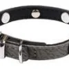 Collier pour chien gris simili cuir Rock Petmini Wouapy – 10 mm x 25 cm