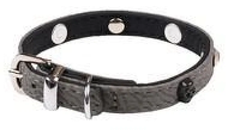 Collier pour chien gris simili cuir Rock Petmini Wouapy – 10 mm x 25 cm