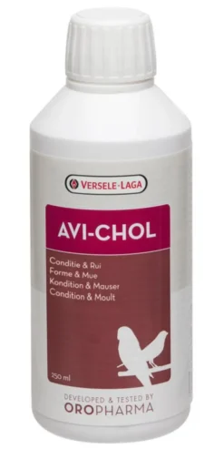 VERSELE LAGA Complément alimentaire régulation du foie pour oiseaux exotiques format liquide Avi-Chol - 250 ml