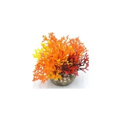 LABEO Corail coloré orange en plastique 12 x 10 cm
