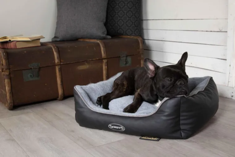 SCRUFFS Corbeille à mémoire de forme pour chien et chat Château – Taille S