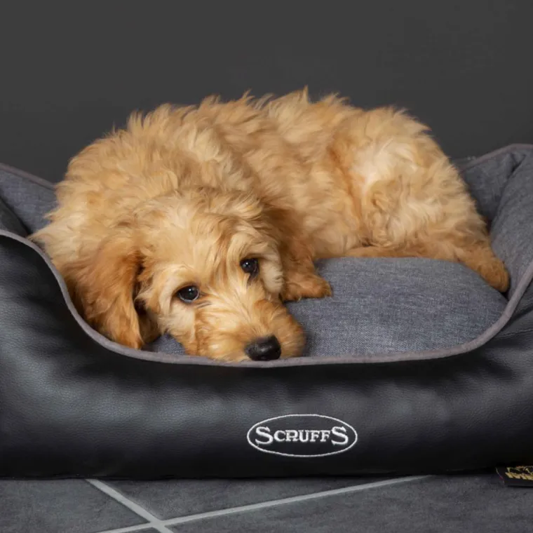 SCRUFFS Corbeille à mémoire de forme pour chien gris Hilton – Taille S