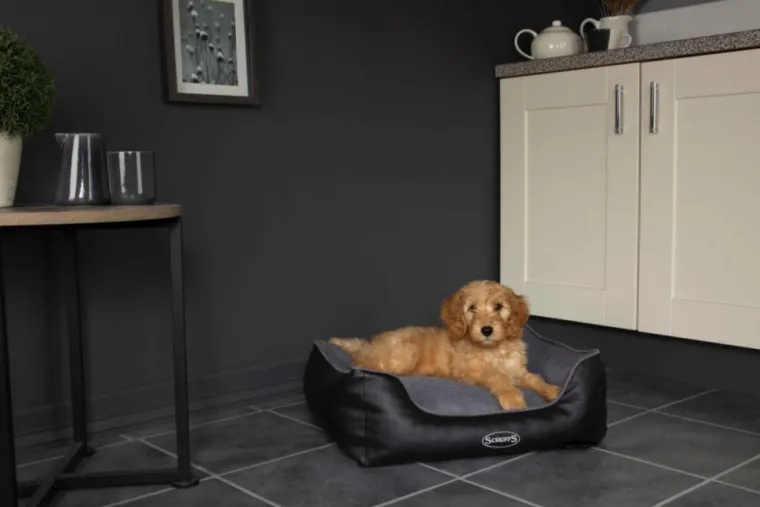 SCRUFFS Corbeille à mémoire de forme pour chien gris Hilton – Taille S