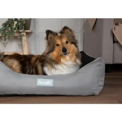 SCRUFFS Corbeille imperméable pour chien coloris rose Expédition – Taille XL