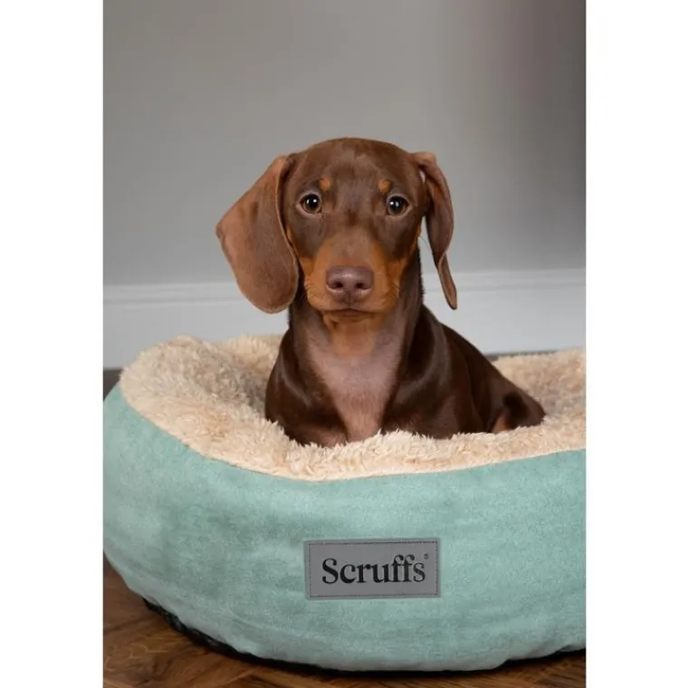 SCRUFFS Corbeille pour chat coloris vert Cosy – Ø 45 cm
