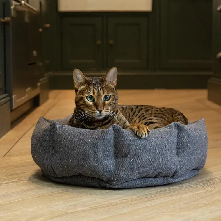 SCRUFFS Corbeille pour chat en tissu gris anthracite Eco Eden - 45 cm