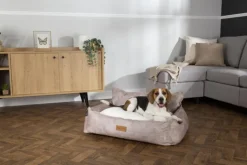 SCRUFFS Corbeille pour chien beige Kensington – Taille M