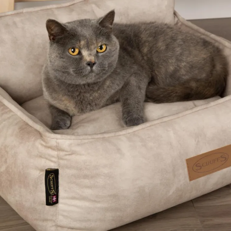 SCRUFFS Corbeille pour chien beige Kensington – Taille M