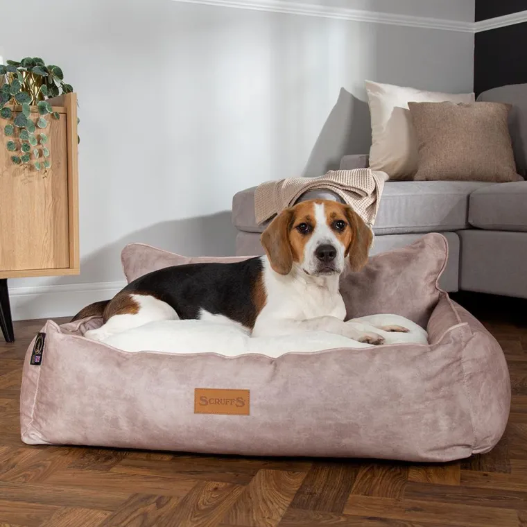 SCRUFFS Corbeille pour chien beige Kensington – Taille M