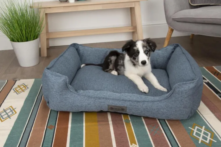 SCRUFFS Corbeille pour chien bleu Manhattan – Taille XL