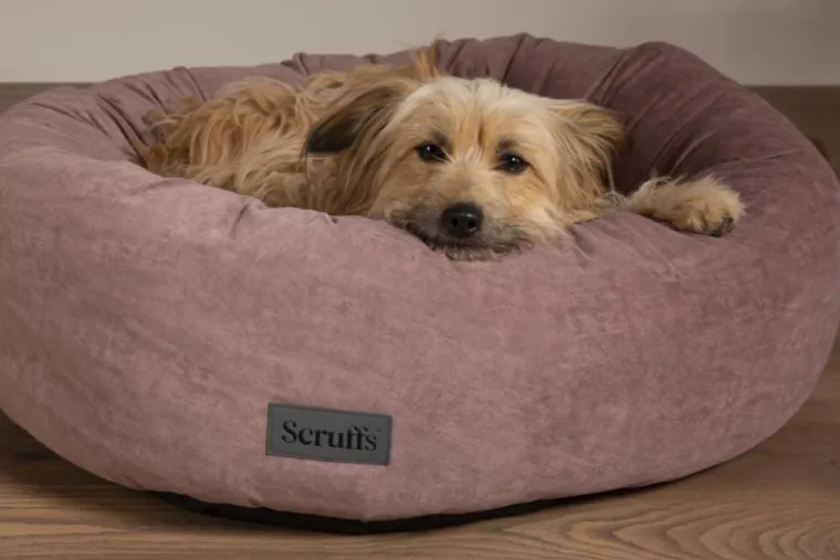 SCRUFFS Corbeille pour chien coloris rose Oslo Donut – Taille 2XL